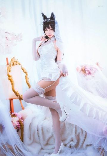 假面骑士月骑免费观看完整版_高清免费全集观看