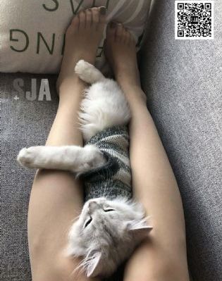 终结者1_4K在线视频播放